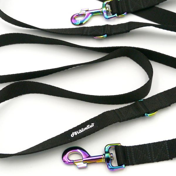 Lange Schwarze Hundeleine, wendbar, 2,5 cm, Holo-Beschläge, 8 cm, Psiakrew