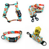 ACCESSORY KIT. Small dog. Blue Lagoon Psiakrew Series; Collar, Harness, Leash, Pouch
