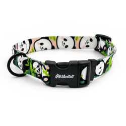 Dog Collar Bamboo Panda Psiakrew 2.5 cm, Black Fittings