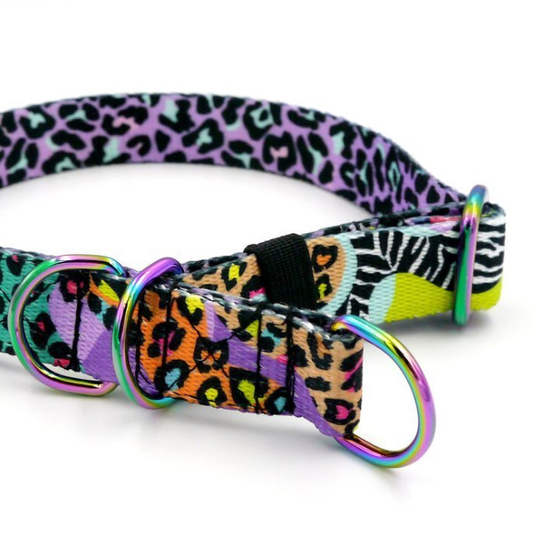 Obroża półzaciskowa Crazy Leopard szeroka na 2 cm, dla małych psów, Holo dodatki