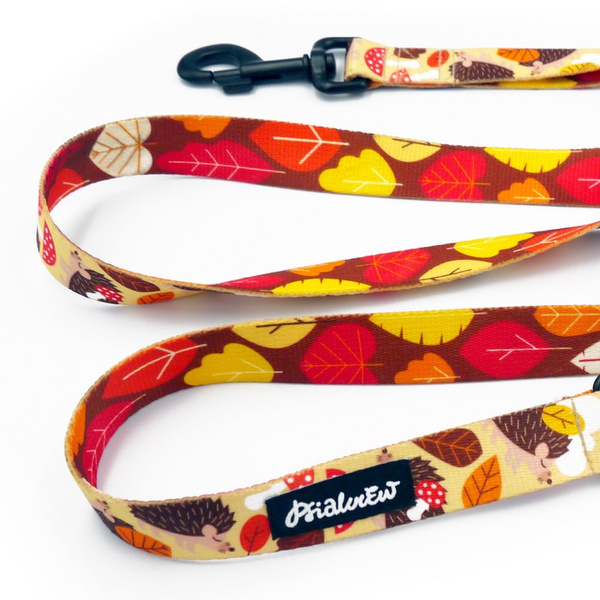 Smycz spacerowa miejska dla Psa- Jeż Marzyciel, 2,5 cm, duży mocny czarny karabińczyk 8cm