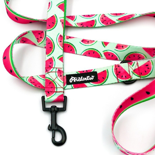 Smycz spacerowa miejska dla Psa Watermelon Psiakrew, szerokość 2,5 cm, czarny karabińczyk 6cm