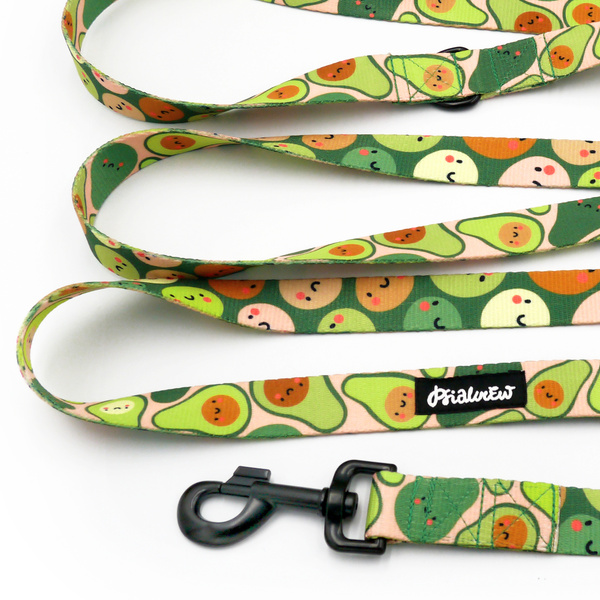 Lange abnehmbare Hundeleine Guacamole Time Psiakrew, Band 2,5 cm, Karabiner 8 cm, schwarz