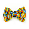 A colorful bow tie for a Dog, Cat, Pet fastened to the collar Psiakrew