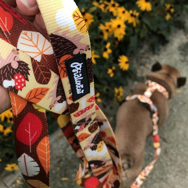 Dog Leash Día de los Muertos width 2.5 cm, 1" wide, snap hook black 8cm