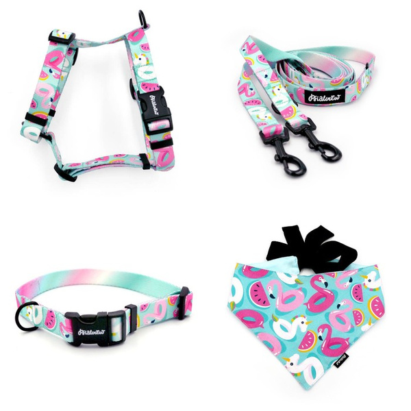 ACCESSORY KIT. Small dog. Azure Pool Psiakrew Series; Collar, Harness, Leash, Bandana