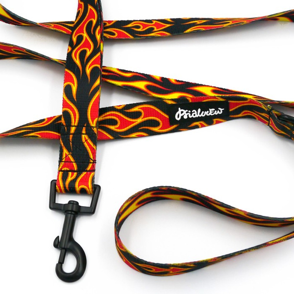 Smycz spacerowa miejska dla Psa Dog On Fire, szerokość 2,5 cm, czarny karabińczyk 6cm