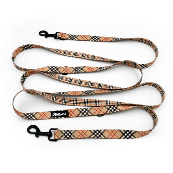 Long Dog Leash Dogberry Psiakrew width 2 cm (0.78"), black snap hook 7 cm (3,15")
