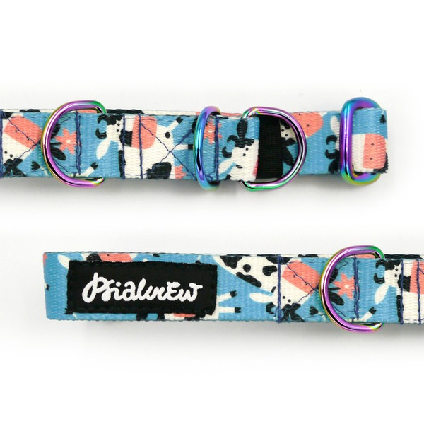 Half-choke collar Spotted Cow Psiakrew, 2 cm wide, for small dogs, Holo extras
