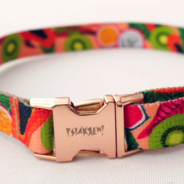 Dog Collar Psiakrew Tutti Frutti, 2 cm 0.78" wide, for smaller dogs, pink gold clip