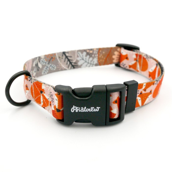 Dog Collar Foxy Lady Psiakrew 2.5 cm wide, black extras