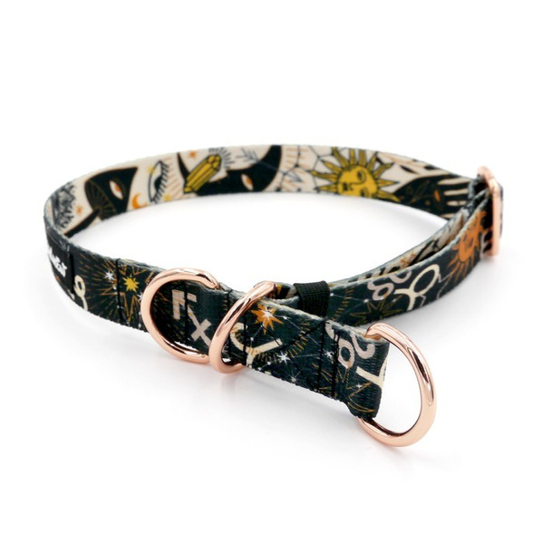 Halb-Klemmhalsband- Zodiak, 2,5 cm breit, für mittelgroße und größere Hunde, Golden-Beschläge, Psiakrew