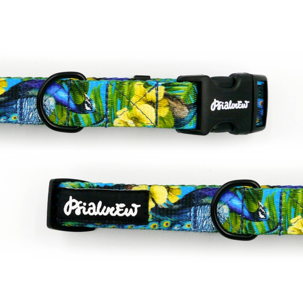 Dog Collar Peacock's Eye Psiakrew, 2 cm 0.78"  wide, for smaller dogs