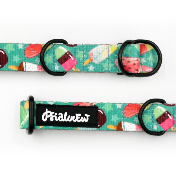 Obroża półzaciskowa Ice Ice Baby szeroka na 2 cm, dla małych psów, czarne dodatki