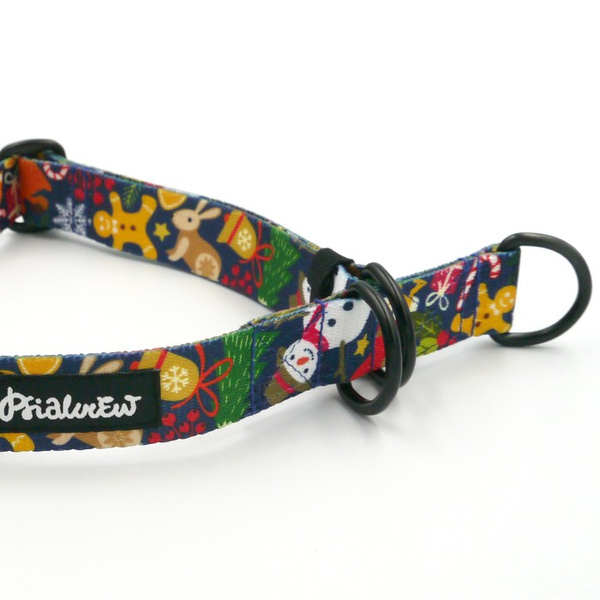 Halb-Klemmhalsband Winter is Coming Psiakrew, 2,5 cm breit, für mittelgroße und größere Hunde, Schwarz-Beschläge