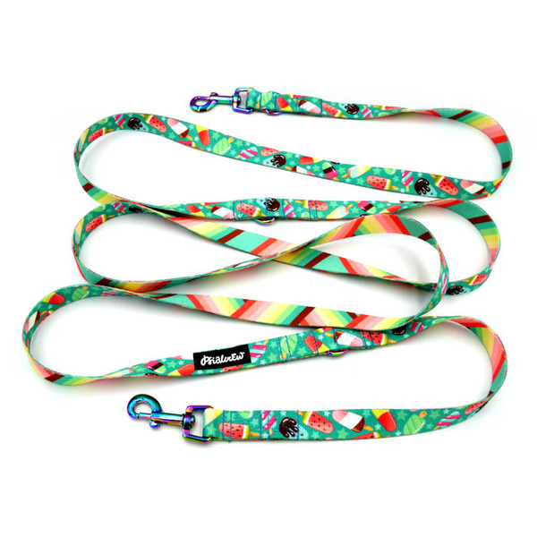 Hundeleine Ice Ice Baby Psiakrew Breite 2 cm, Holo Karabinerhaken 6 cm