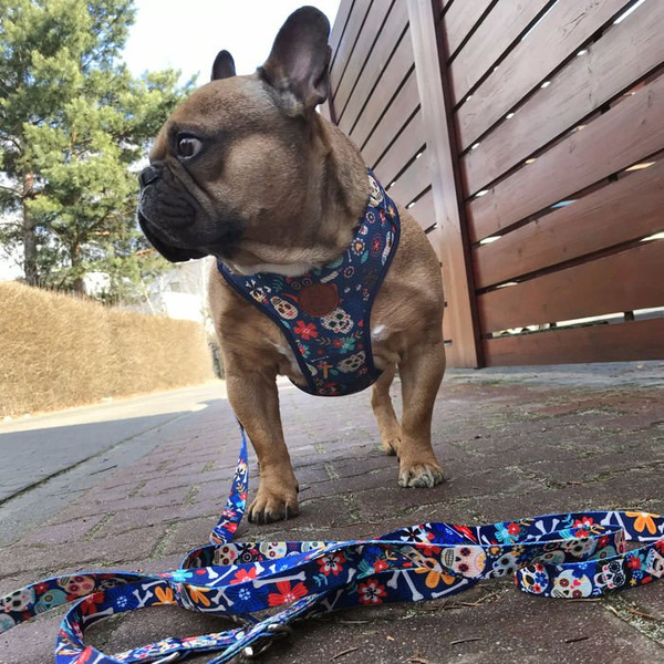Dog Harness Día de los Muertos, Always Feeling Cool, Super Soft Psiakrew