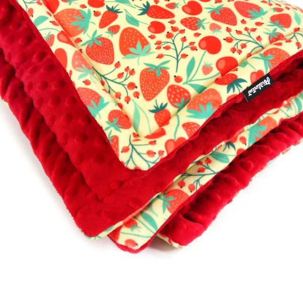 Premium Mat Plaid Blanket for the dog Fruit Jelly Psiakrew Design