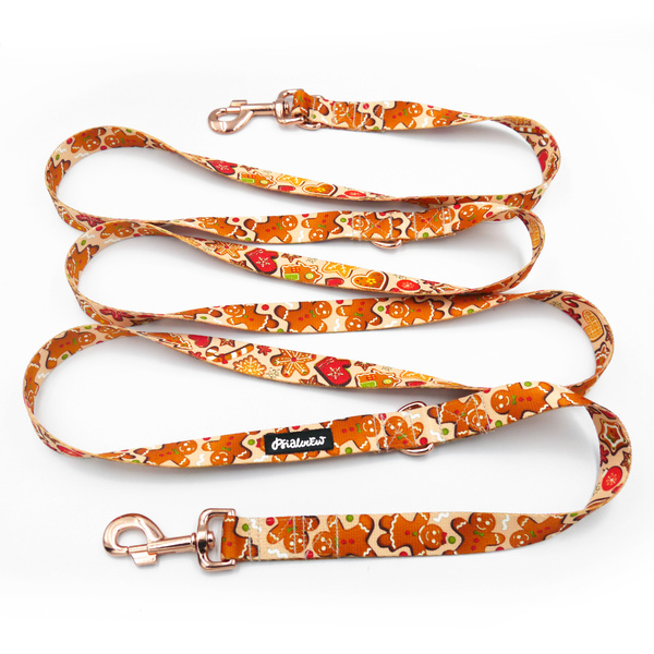 Long Adjustable Dog Leash Cinnamon Gingerbread Psiakrew 2.5 cm, rose-gold 8 cm carabiner