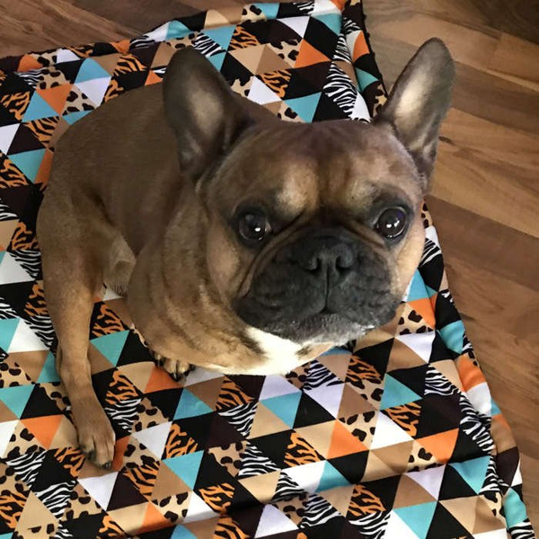 Premium Mat Plaid Blanket for the dog, Wild Animals Psiakrew Design