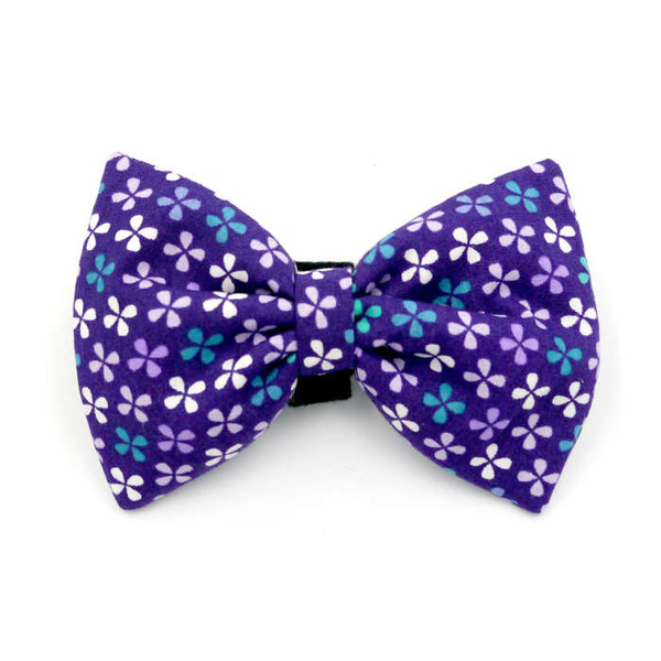 Violet Bow Tie Bow for a dog with four-leaf clovers, attached to a collar