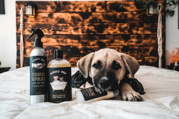 Zestaw Kosmetyków dla Psa RUGGED PAW szampon, tonik, balsam