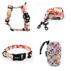 ZUBEHÖRSATZ. Mittlerer Hund. Hot Sweetness Psiakrew - Serie; Halsband, Geschirr, Leine, Sachet für Hundeleckerli