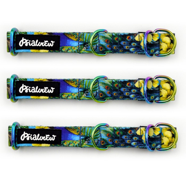 Half-choke collar Peacock's Eye Psiakrew, 2 cm wide, for small dogs, Holo extras