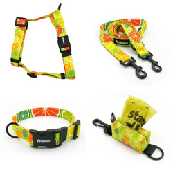 ACCESSORY KIT. Medium dog. Lemonade Psiakrew Series; Collar, Harness, Leash, Pouch
