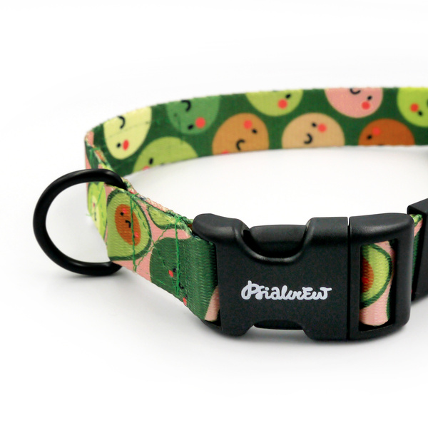 Dog Collar Guacamole Time Psiakrew 2.5 cm 1" wide, black fittings