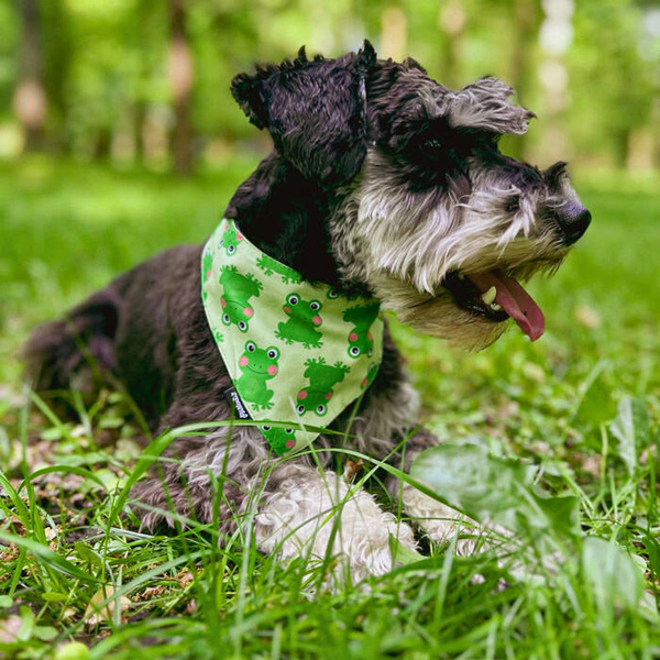 Dog Bandana Green Frogs Psiakrew handkerchief style to tie around your pet’s neck