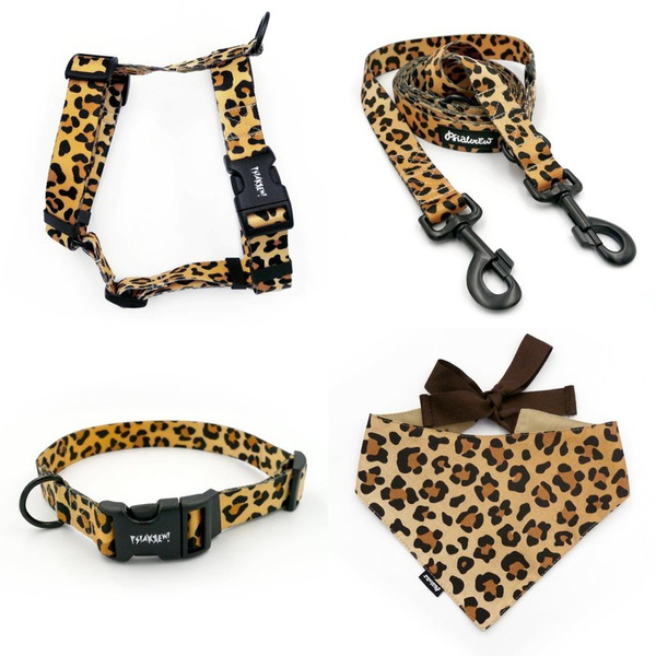 ACCESSORY KIT. Big dog. Tarzan Psiakrew Series; Collar, Harness, Leash, Bandana