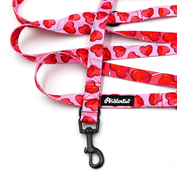 Long Dog Leash Lollipops Psiakrew width 2 cm (0.78"), black snap hook 6 cm