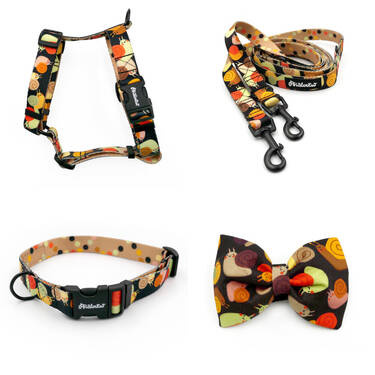 ACCESSORY KIT. Small dog. Snail Family Psiakrew Series; Collar, Harness, Leash, Bow tie