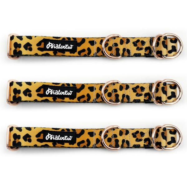 Halb-Klemmhalsband Tarzan Psiakrew, 2,5 cm, für mittelgroße und größere Hunde, Extras rosagolden