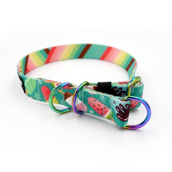 Half-choke collar Ice Ice Baby, 2 cm wide, for small dogs, Holo extras