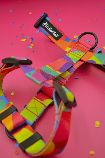 Harness for Dog Kaleidoscope Psiakrew Guard Harness Small Harness for small dogs, puppies, black extras