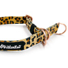 Half-Choke-Halsband Tarzan, 2 cm breit, für kleine Hunde, goldene Accessoires