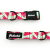 Dog Collar Watermelon Psiakrew, 2 cm 0.78" wide, for smaller dogs black extras
