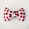Dog Bow Tie Ladybug, pet bowtie