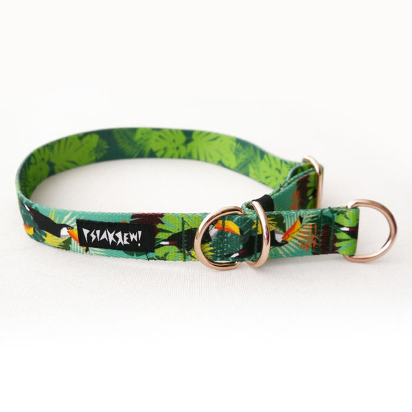 Half-choke collar Toucan, 2.5 cm wide, medium and big dogs, rose gold