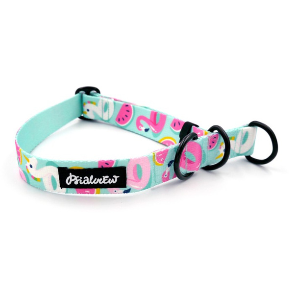 Halb-Klemmhalsband Azure Pool Psiakrew, 2,5 cm breit, für mittelgroße und größere Hunde, Schwarz-Beschläge