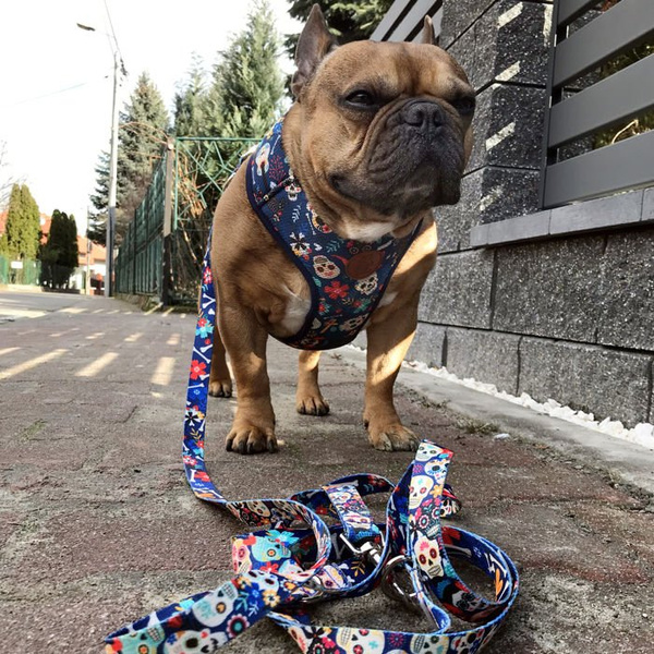 Dog Harness Día de los Muertos, Always Feeling Cool, Super Soft Psiakrew