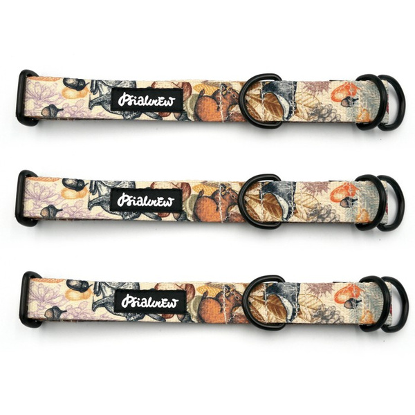 Half-choke collar Forest Treasures, 2.5 cm wide, medium and big dogs, black extras