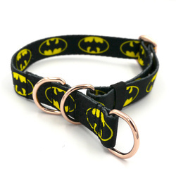 Half-Choke-Halsband BatDog, 2 cm breit, für kleine Hunde, goldene Accessoires