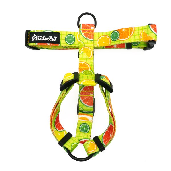 Guard Harness for Dog Lemoniada – Psiakrew – for Small Dogs and Puppies