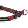 Obroża półzaciskowa w szkocką kratę Tartan Psiakrew 2,5 cm  średni i duży pies czarne okucia