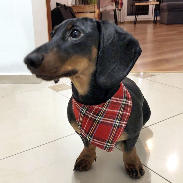 Dog Bandana Tartan handkerchief style to tie around your pet’s neck