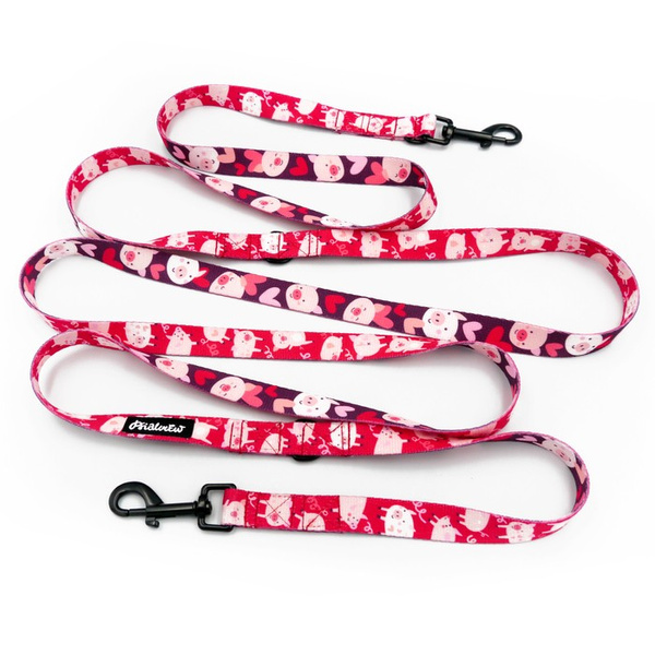 Hundeleine, lang, abnehmbar, verstellbar Piggy in Love Psiakrew, Breite 2 cm, Karabiner schwarz 7 cm
