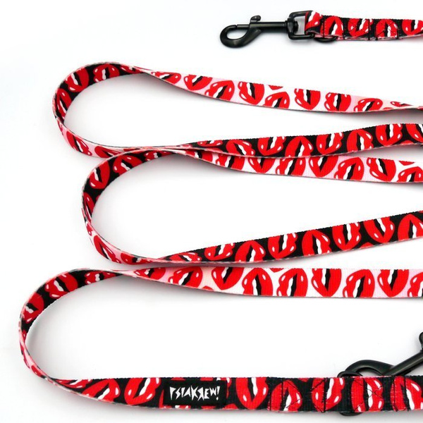 Long Dog Leash Lipstick width 2 cm (0.78") wide, black snap hook